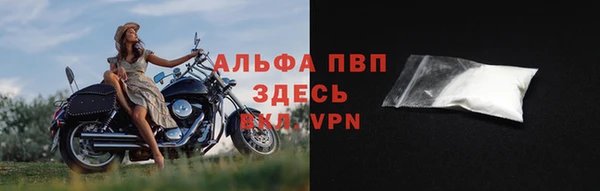 ГАЛЛЮЦИНОГЕННЫЕ ГРИБЫ Белоозёрский