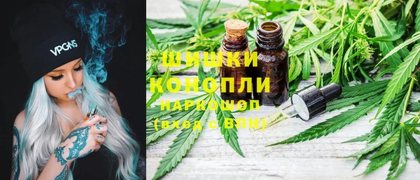 ГАЛЛЮЦИНОГЕННЫЕ ГРИБЫ Белоозёрский
