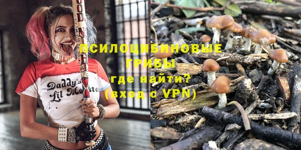 ГАЛЛЮЦИНОГЕННЫЕ ГРИБЫ Белоозёрский